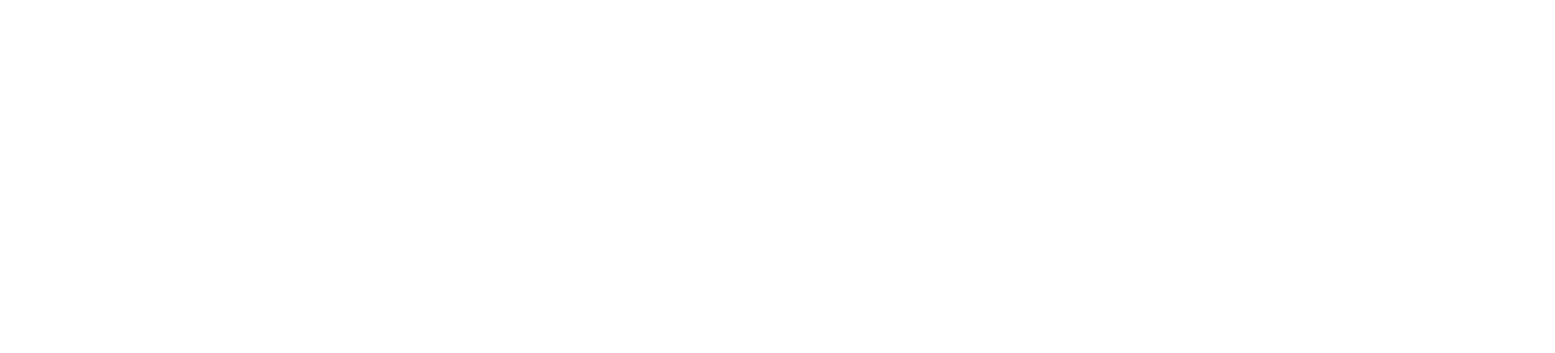 Lyneiwa Home Care Services logo (white)